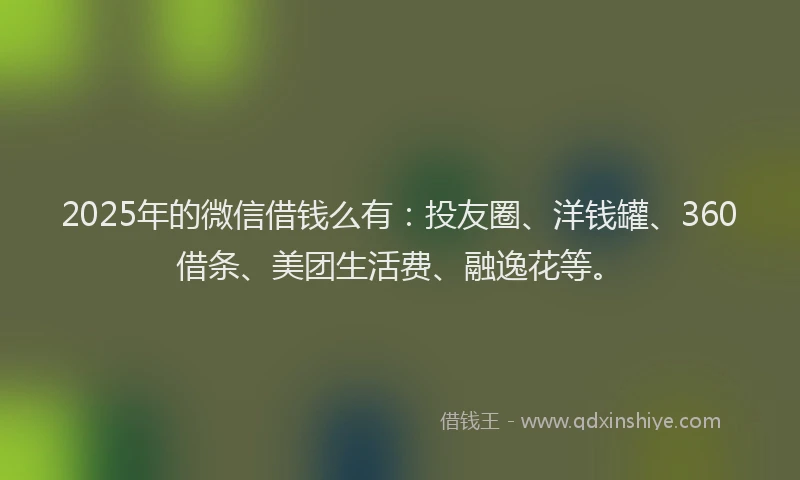 2025年的微信借钱么有：投友圈、洋钱罐、360借条、美团生活费、融逸花等。