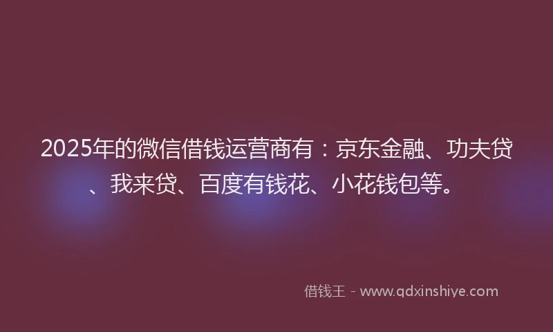 2025年的微信借钱运营商有：京东金融、功夫贷、我来贷、百度有钱花、小花钱包等。