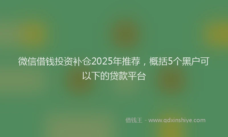微信借钱投资补仓2025年推荐，概括5个黑户可以下的贷款平台