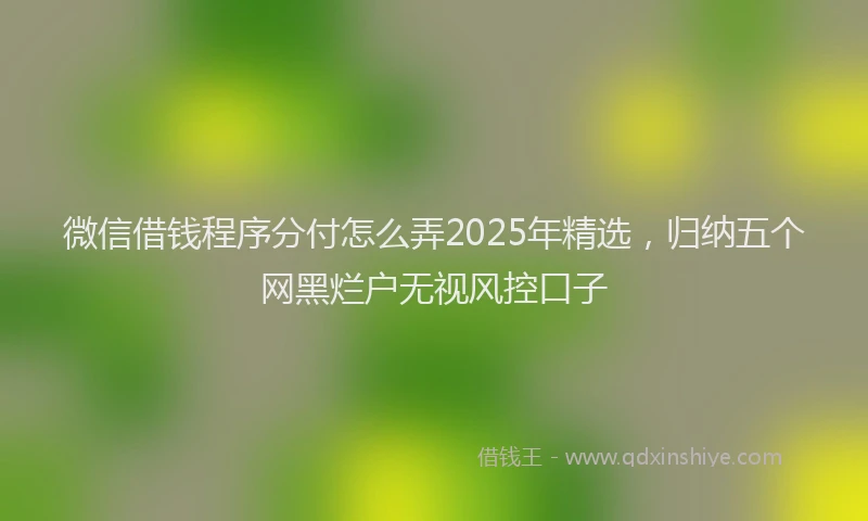 微信借钱程序分付怎么弄2025年精选，归纳五个网黑烂户无视风控口子