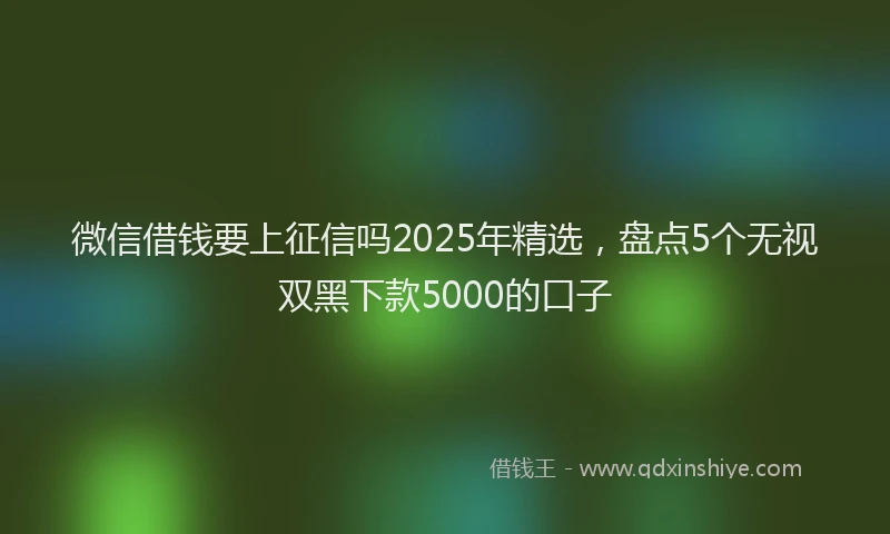 微信借钱要上征信吗2025年精选，盘点5个无视双黑下款5000的口子