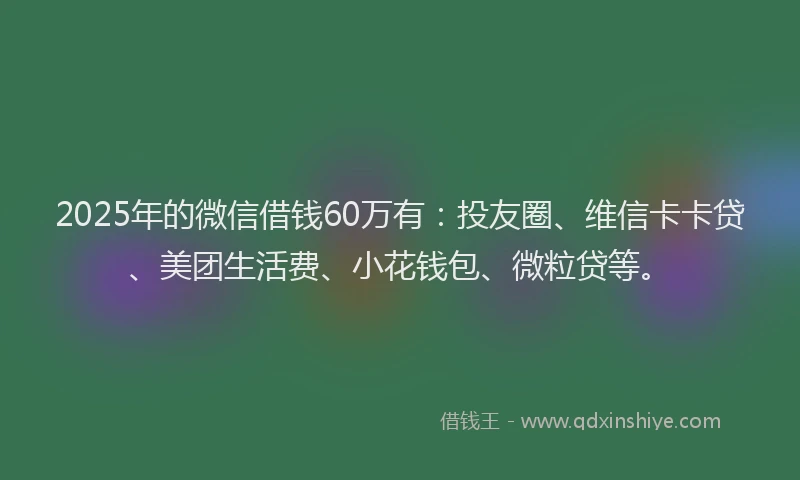 2025年的微信借钱60万有：投友圈、维信卡卡贷、美团生活费、小花钱包、微粒贷等。