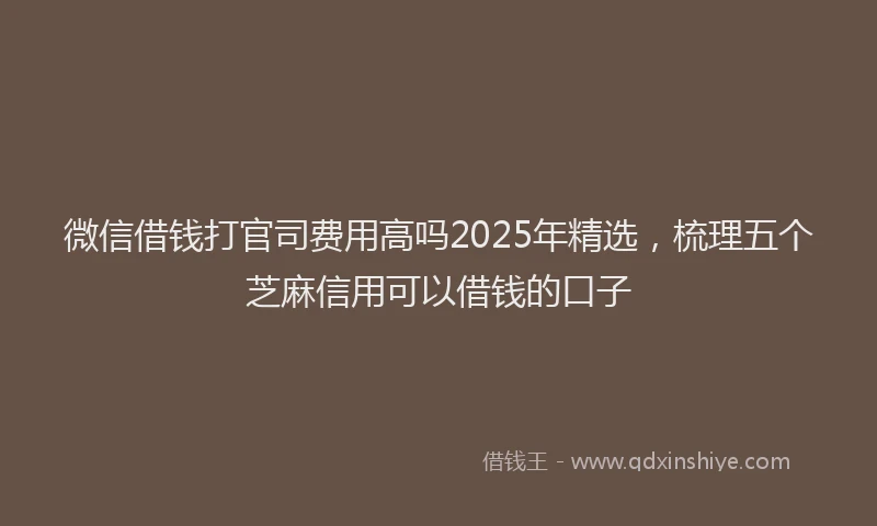 微信借钱打官司费用高吗2025年精选，梳理五个芝麻信用可以借钱的口子