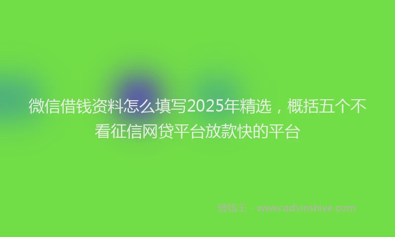 微信借钱资料怎么填写2025年精选，概括五个不看征信网贷平台放款快的平台