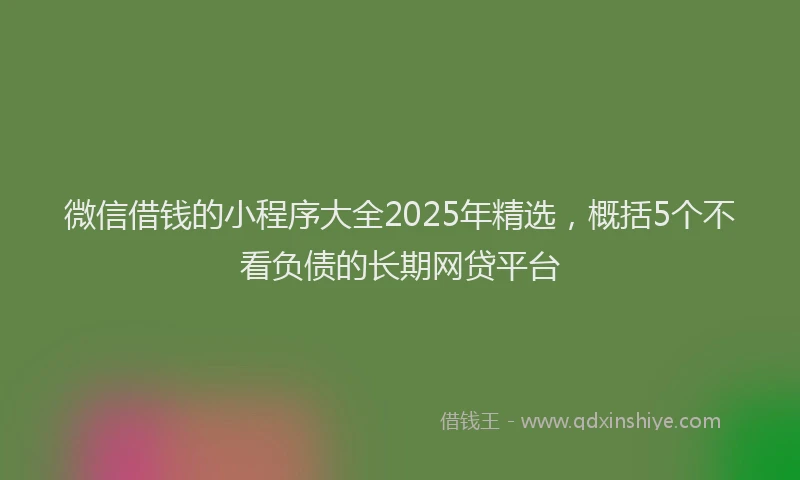 微信借钱的小程序大全2025年精选，概括5个不看负债的长期网贷平台
