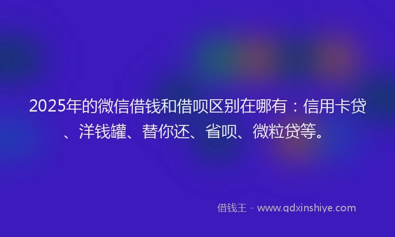 2025年的微信借钱和借呗区别在哪有：信用卡贷、洋钱罐、替你还、省呗、微粒贷等。
