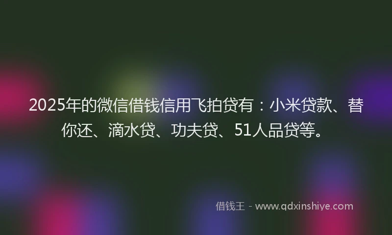 2025年的微信借钱信用飞拍贷有：小米贷款、替你还、滴水贷、功夫贷、51人品贷等。