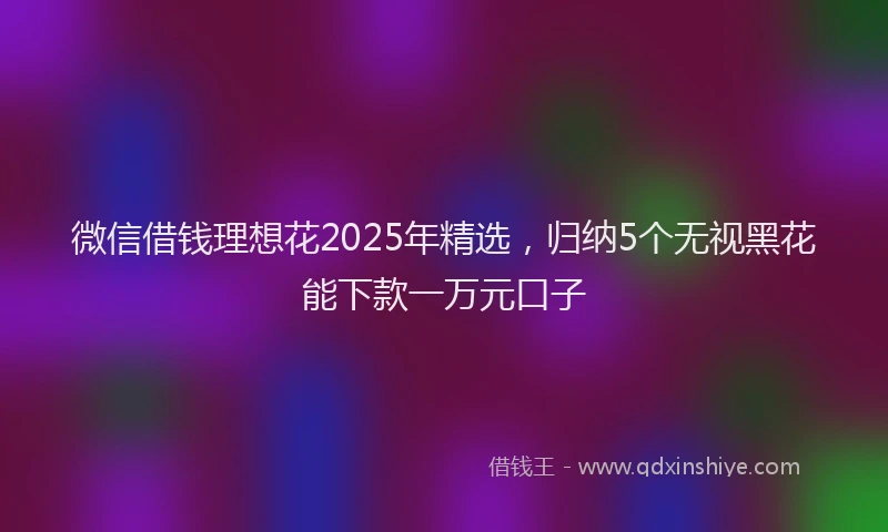 微信借钱理想花2025年精选，归纳5个无视黑花能下款一万元口子