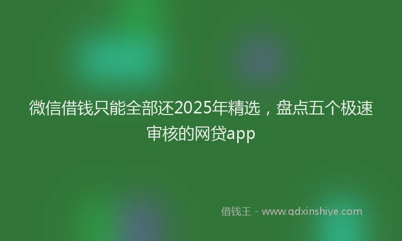 微信借钱只能全部还2025年精选，盘点五个极速审核的网贷app