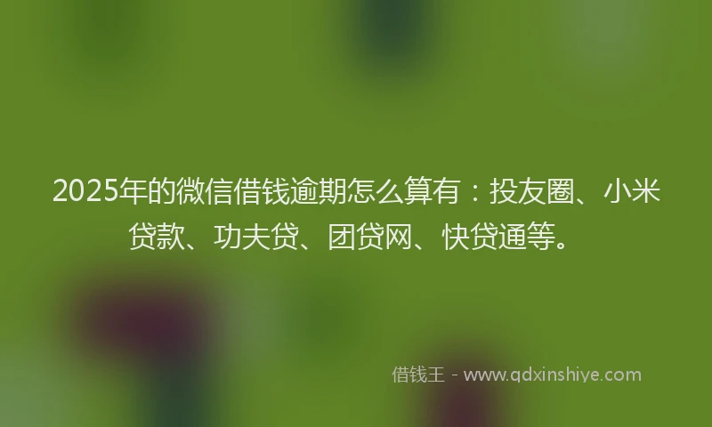 2025年的微信借钱逾期怎么算有：投友圈、小米贷款、功夫贷、团贷网、快贷通等。