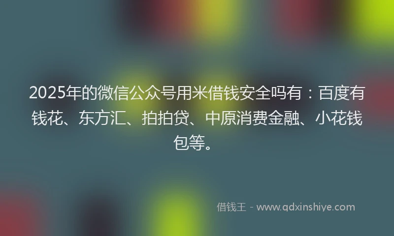 2025年的微信公众号用米借钱安全吗有:百度有钱花、东方汇、拍拍贷、中原消费金融、小花钱包等。
