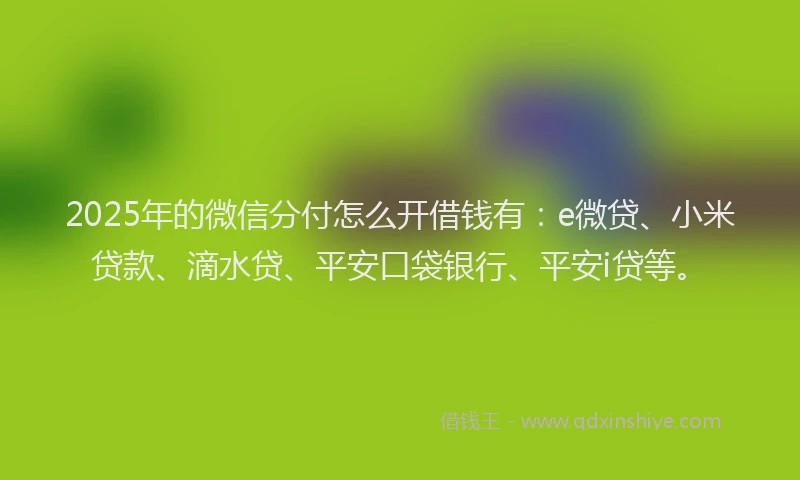 2025年的微信分付怎么开借钱有：e微贷、小米贷款、滴水贷、平安口袋银行、平安i贷等。
