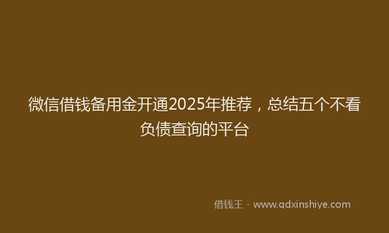 微信借钱备用金开通2025年推荐，总结五个不看负债查询的平台
