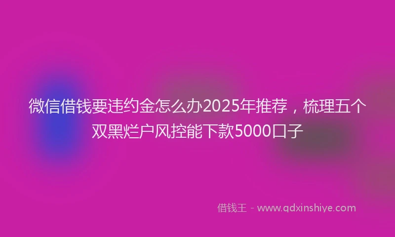 微信借钱要违约金怎么办2025年推荐，梳理五个双黑烂户风控能下款5000口子