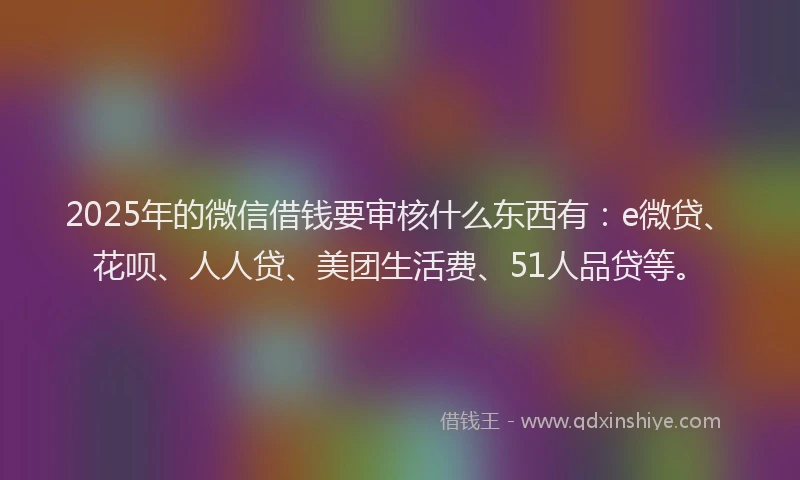 2025年的微信借钱要审核什么东西有：e微贷、花呗、人人贷、美团生活费、51人品贷等。