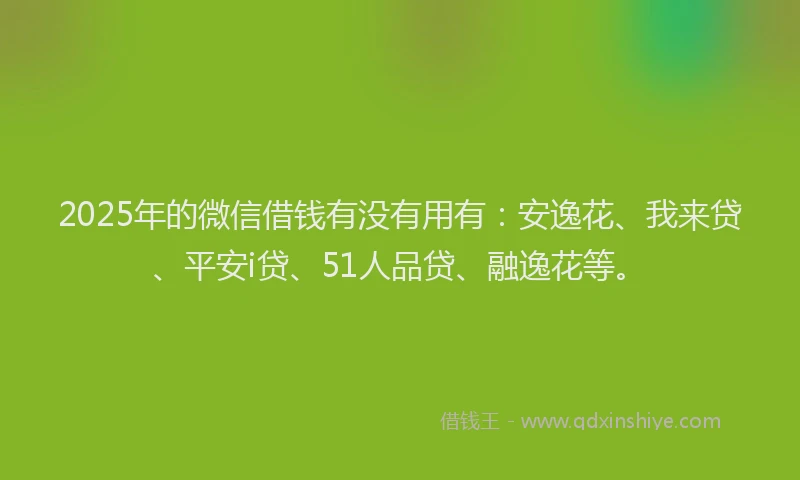 2025年的微信借钱有没有用有：安逸花、我来贷、平安i贷、51人品贷、融逸花等。