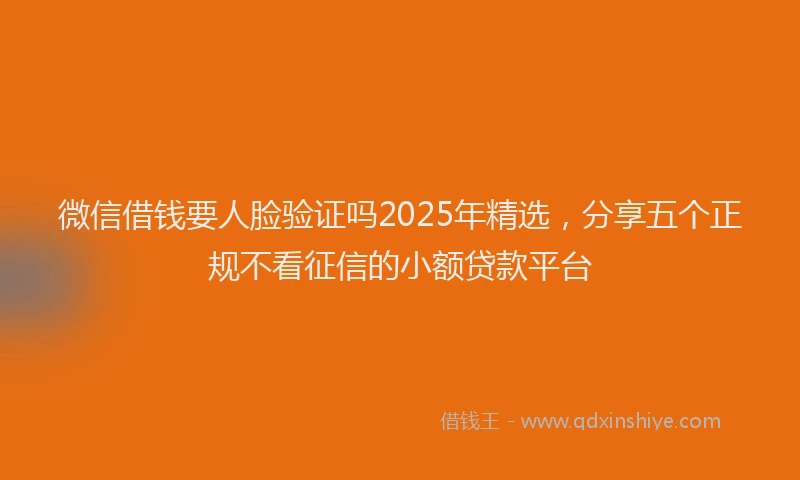 微信借钱要人脸验证吗2025年精选，分享五个正规不看征信的小额贷款平台