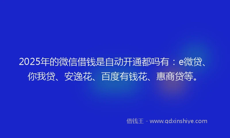 2025年的微信借钱是自动开通都吗有：e微贷、你我贷、安逸花、百度有钱花、惠商贷等。
