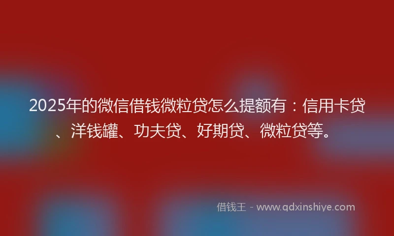 2025年的微信借钱微粒贷怎么提额有：信用卡贷、洋钱罐、功夫贷、好期贷、微粒贷等。