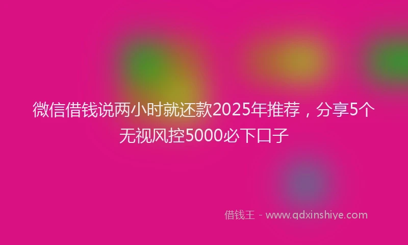 微信借钱说两小时就还款2025年推荐，分享5个无视风控5000必下口子