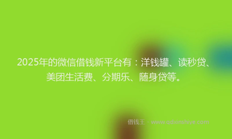 2025年的微信借钱新平台有：洋钱罐、读秒贷、美团生活费、分期乐、随身贷等。