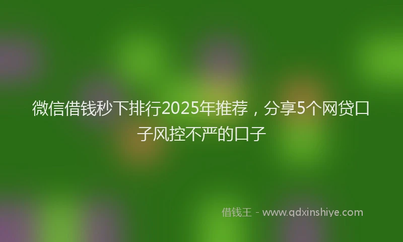 微信借钱秒下排行2025年推荐，分享5个网贷口子风控不严的口子