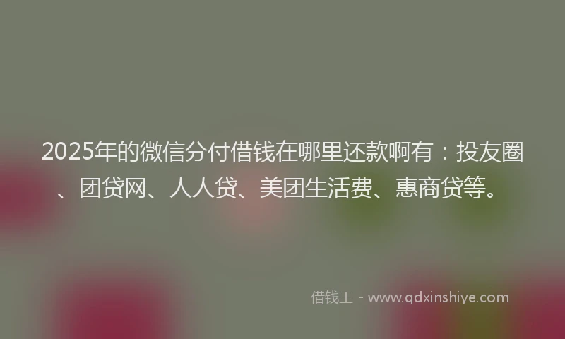 2025年的微信分付借钱在哪里还款啊有：投友圈、团贷网、人人贷、美团生活费、惠商贷等。