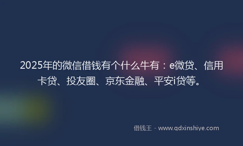 2025年的微信借钱有个什么牛有：e微贷、信用卡贷、投友圈、京东金融、平安i贷等。