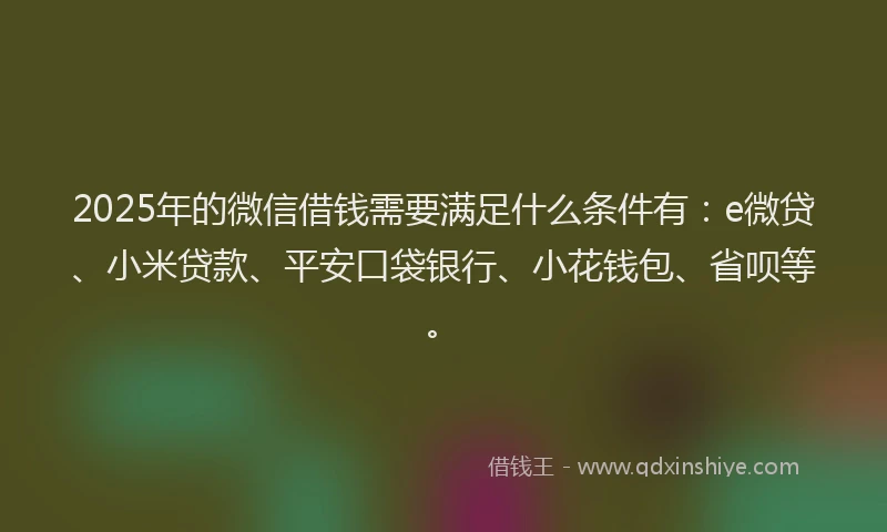 2025年的微信借钱需要满足什么条件有：e微贷、小米贷款、平安口袋银行、小花钱包、省呗等。
