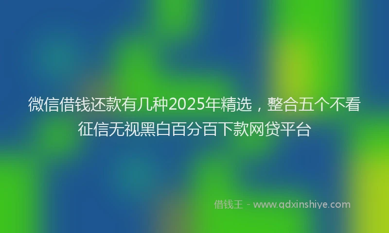 微信借钱还款有几种2025年精选，整合五个不看征信无视黑白百分百下款网贷平台