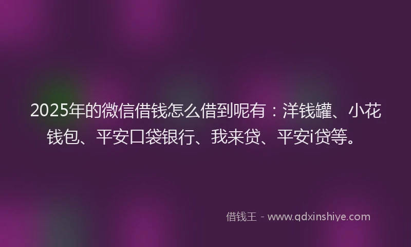 2025年的微信借钱怎么借到呢有：洋钱罐、小花钱包、平安口袋银行、我来贷、平安i贷等。