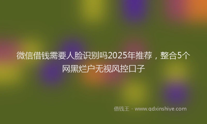 微信借钱需要人脸识别吗2025年推荐，整合5个网黑烂户无视风控口子