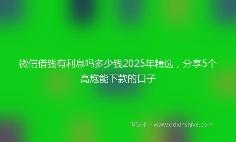 微信借钱有利息吗多少钱2025年精选，分享5个高炮能下款的口子