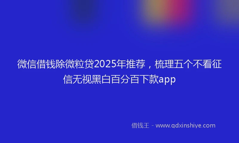 微信借钱除微粒贷2025年推荐，梳理五个不看征信无视黑白百分百下款app