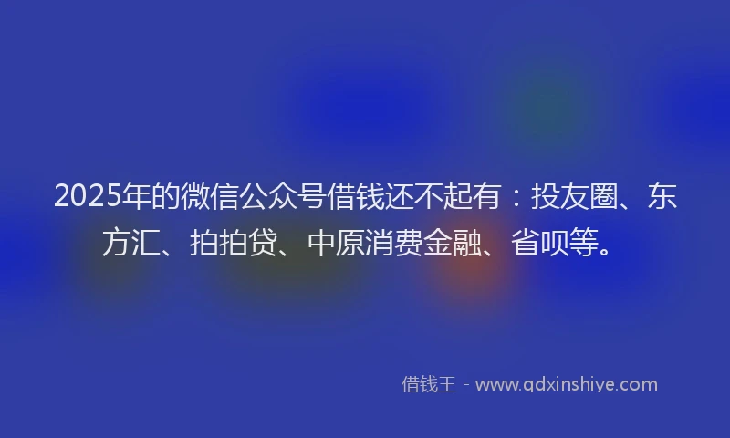 2025年的微信公众号借钱还不起有：投友圈、东方汇、拍拍贷、中原消费金融、省呗等。