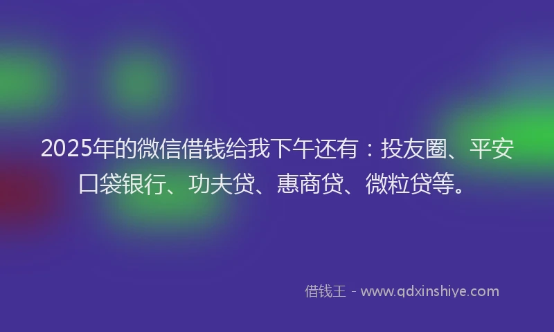 2025年的微信借钱给我下午还有：投友圈、平安口袋银行、功夫贷、惠商贷、微粒贷等。