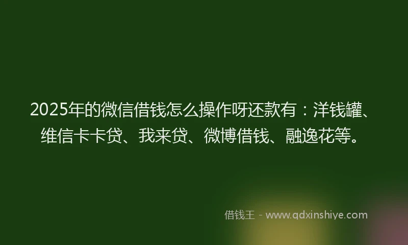 2025年的微信借钱怎么操作呀还款有：洋钱罐、维信卡卡贷、我来贷、微博借钱、融逸花等。