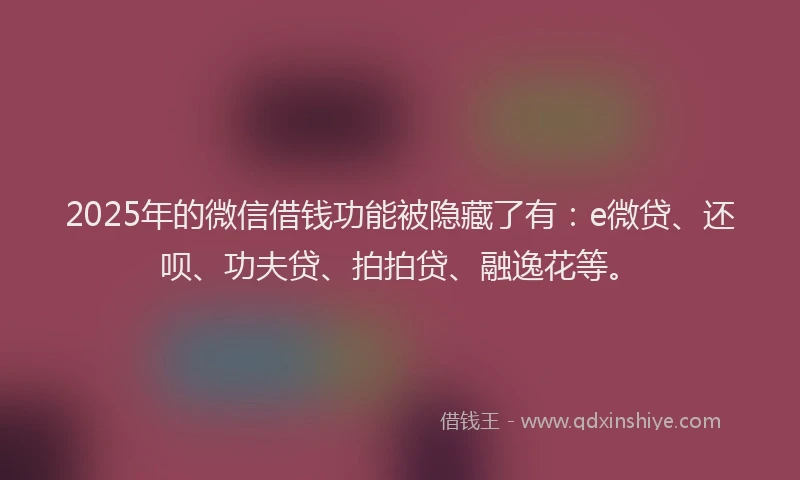 2025年的微信借钱功能被隐藏了有：e微贷、还呗、功夫贷、拍拍贷、融逸花等。