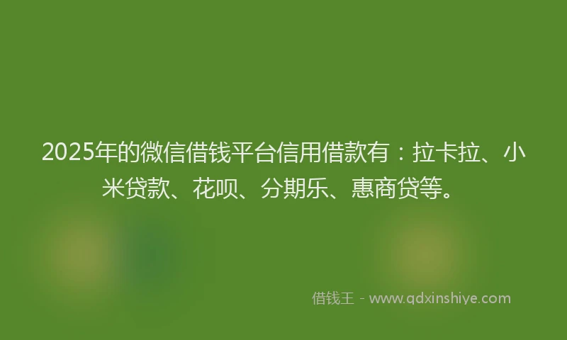 2025年的微信借钱平台信用借款有：拉卡拉、小米贷款、花呗、分期乐、惠商贷等。