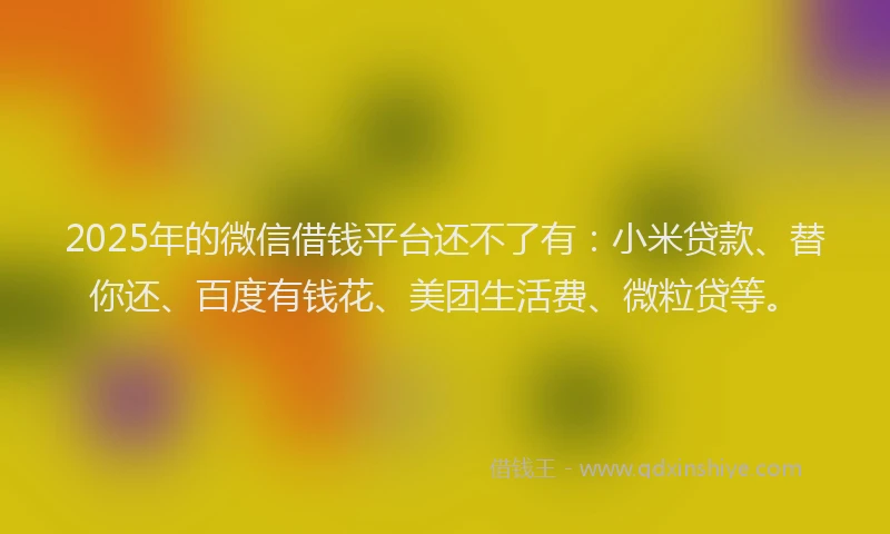 2025年的微信借钱平台还不了有：小米贷款、替你还、百度有钱花、美团生活费、微粒贷等。