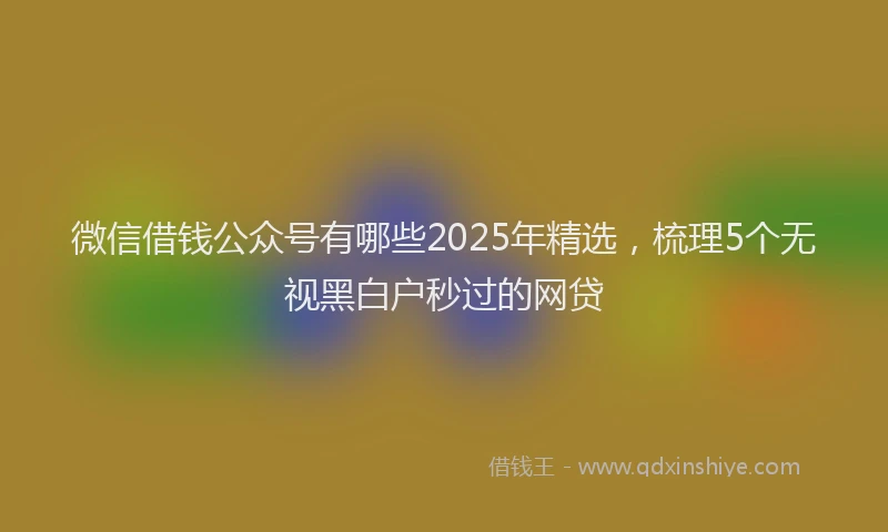 微信借钱公众号有哪些2025年精选，梳理5个无视黑白户秒过的网贷