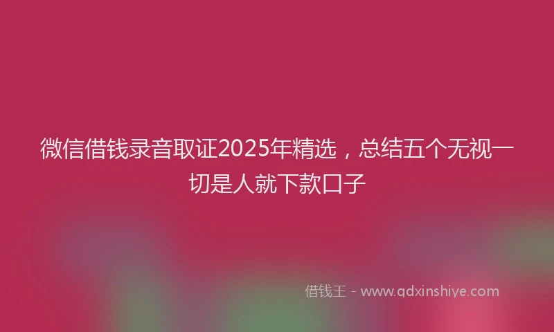 微信借钱录音取证2025年精选，总结五个无视一切是人就下款口子