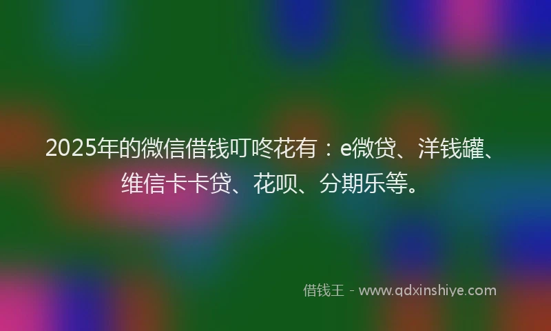 2025年的微信借钱叮咚花有：e微贷、洋钱罐、维信卡卡贷、花呗、分期乐等。