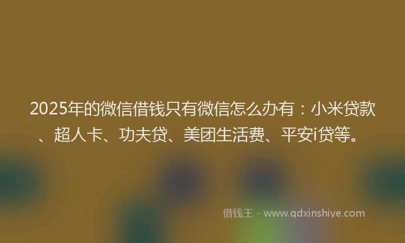 2025年的微信借钱只有微信怎么办有：小米贷款、超人卡、功夫贷、美团生活费、平安i贷等。