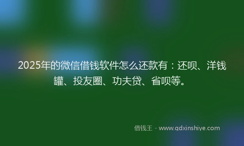 2025年的微信借钱软件怎么还款有：还呗、洋钱罐、投友圈、功夫贷、省呗等。