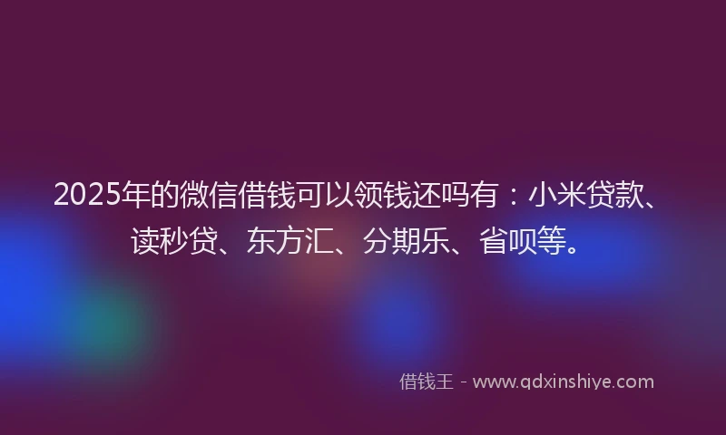 2025年的微信借钱可以领钱还吗有：小米贷款、读秒贷、东方汇、分期乐、省呗等。