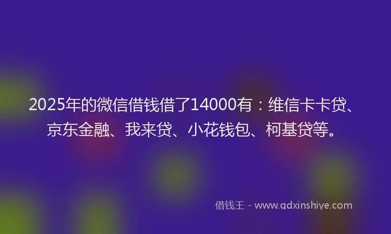 2025年的微信借钱借了14000有：维信卡卡贷、京东金融、我来贷、小花钱包、柯基贷等。