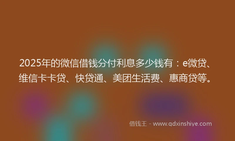 2025年的微信借钱分付利息多少钱有：e微贷、维信卡卡贷、快贷通、美团生活费、惠商贷等。