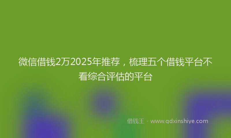 微信借钱2万2025年推荐，梳理五个借钱平台不看综合评估的平台