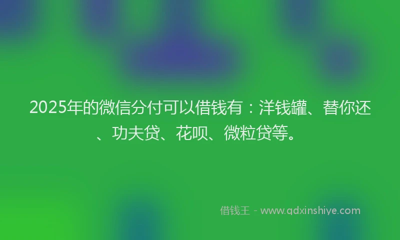 2025年的微信分付可以借钱有：洋钱罐、替你还、功夫贷、花呗、微粒贷等。